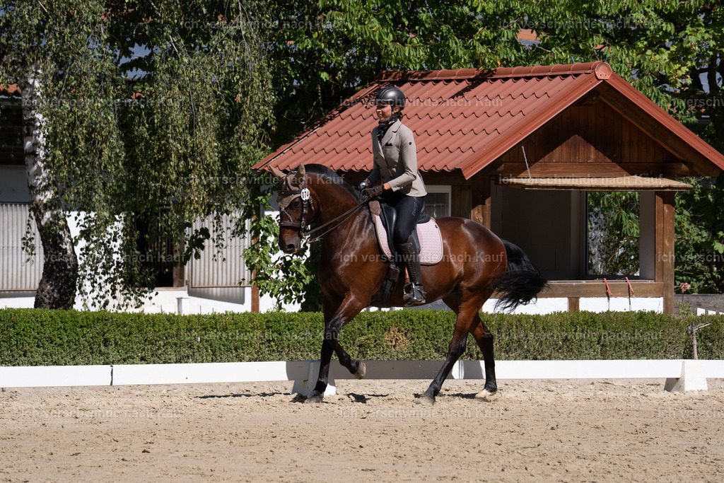 WL_DR_58_sinafilmart_IN07671 | working equitationturnier fotograf videograf stoibphotography marixx film working equitation deutschland reitsport turnierfotografie eventfotografie equestrian events
