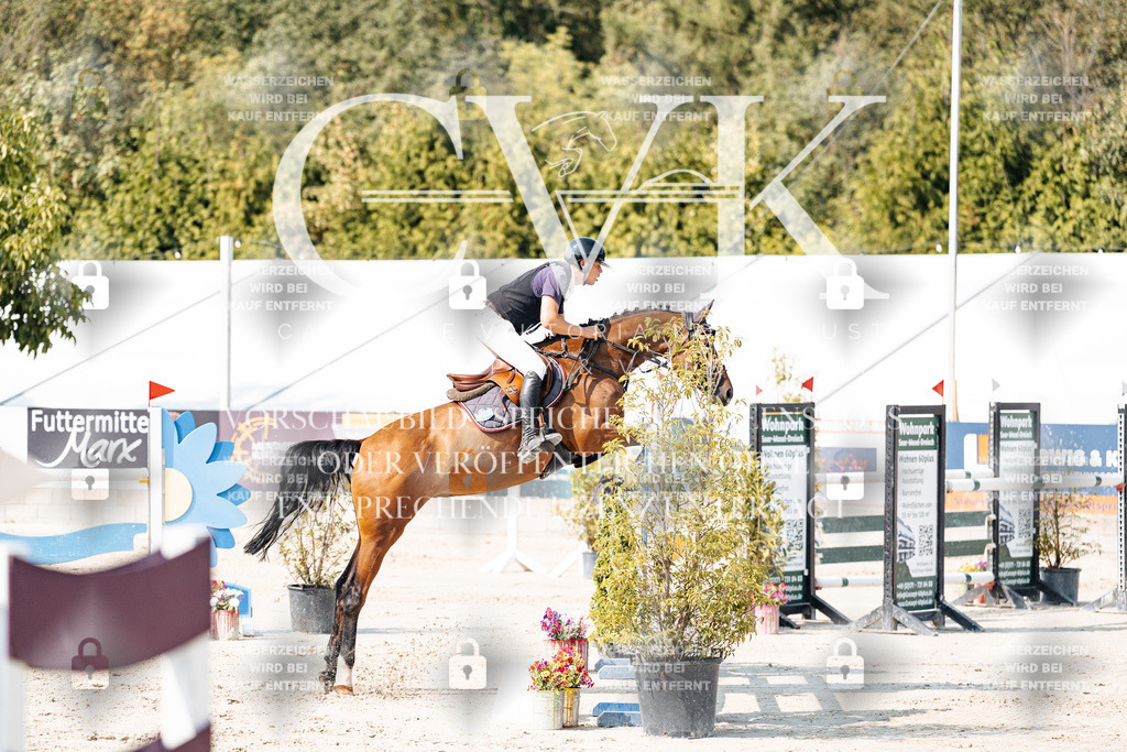 CK902310 | Turnierfotografie Pferdefotografie Trier Rheinland-Pfalz Pferdesport Reitsport Tierfotografie Sportfotografie Pferdevideo Pferdevideografie Equestrianvideography equestrianphotography  - Realisiert mit Pictrs.com
