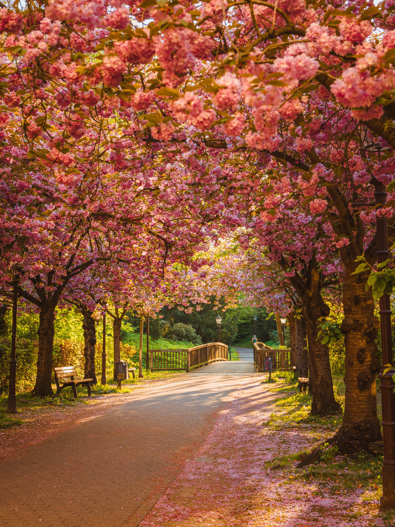 Eulenspiegeltwete | Entdecke exklusive Fotokunst aus Braunschweig: Bildband, Leinwände, Postkarten, Kalender, digitale Downloads & Bildlizenzen. Jetzt im offiziellen Beautiful Braunschweig Shop! - Realisiert mit Pictrs.com