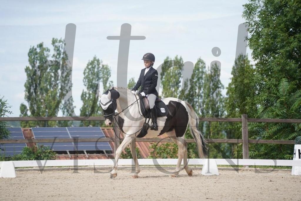 tgbhsamstag (847) | d.tail Visions - Shop - Realisiert mit Pictrs.com