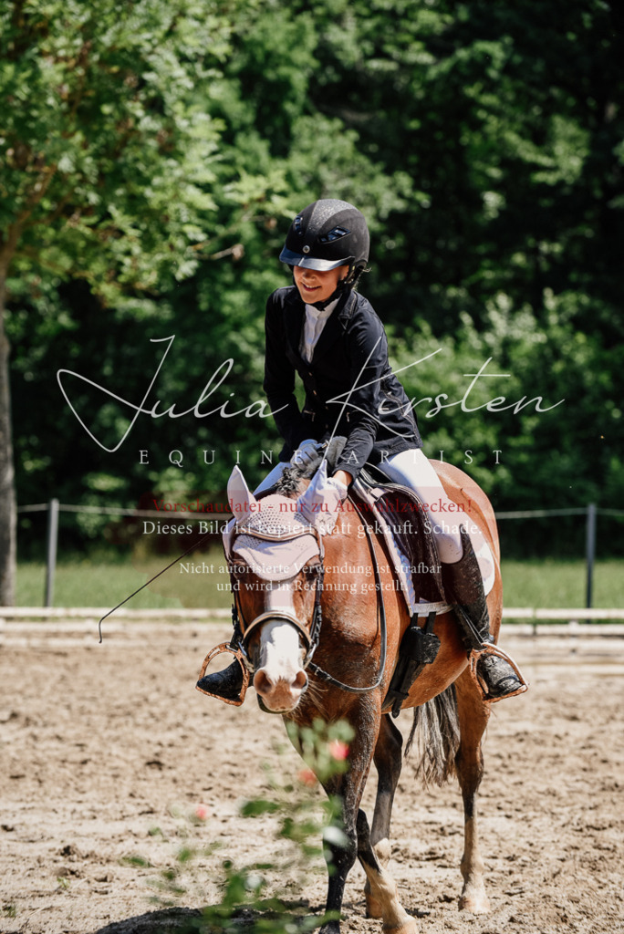 DSC_1972 | Pferde- und Turnierfotografie in Westsachsen. Pferdeportraits, Auftragszeichnungen und intuitive Kunst.