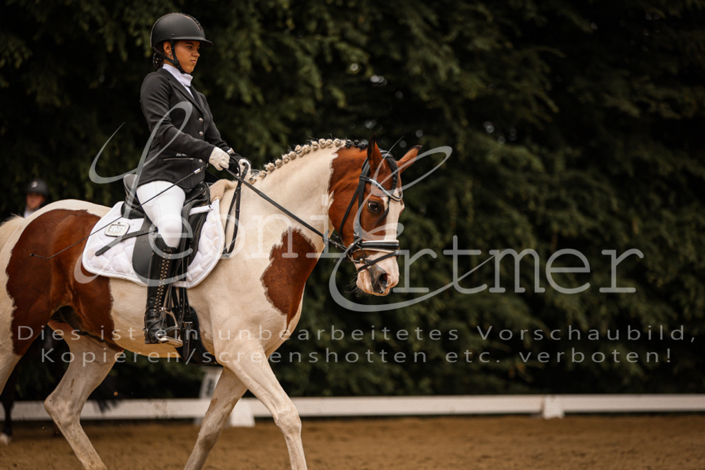 DoDrE00215 | Leoni Ertmer Photography - Realisiert mit Pictrs.com