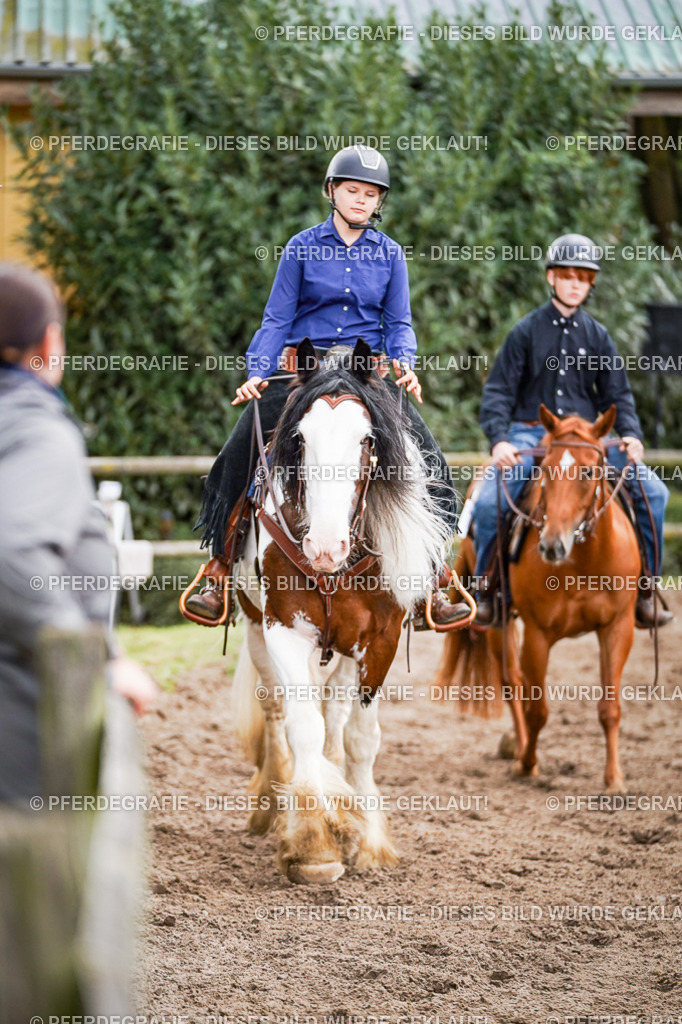 DSC08737 | Pferdegrafie