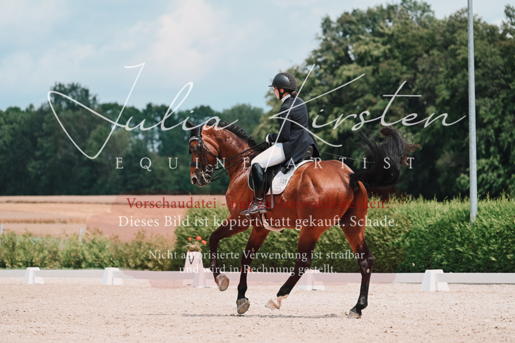 DSC_4381 | Pferde- und Turnierfotografie in Westsachsen. Pferdeportraits, Auftragszeichnungen und intuitive Kunst.