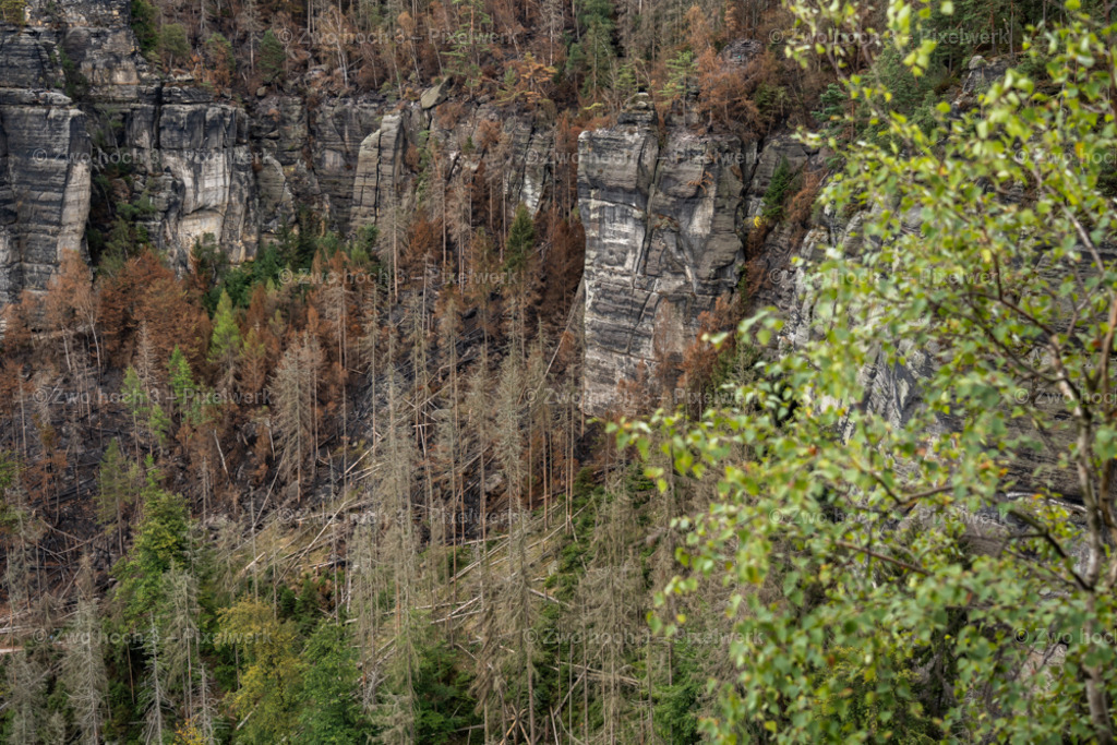 Frienstein_Idagrotte_Obere_Affensteinpromenade_Waldbrand | 2022-09-02_Waldbrandgebiete_2 - Realisiert mit Pictrs.com