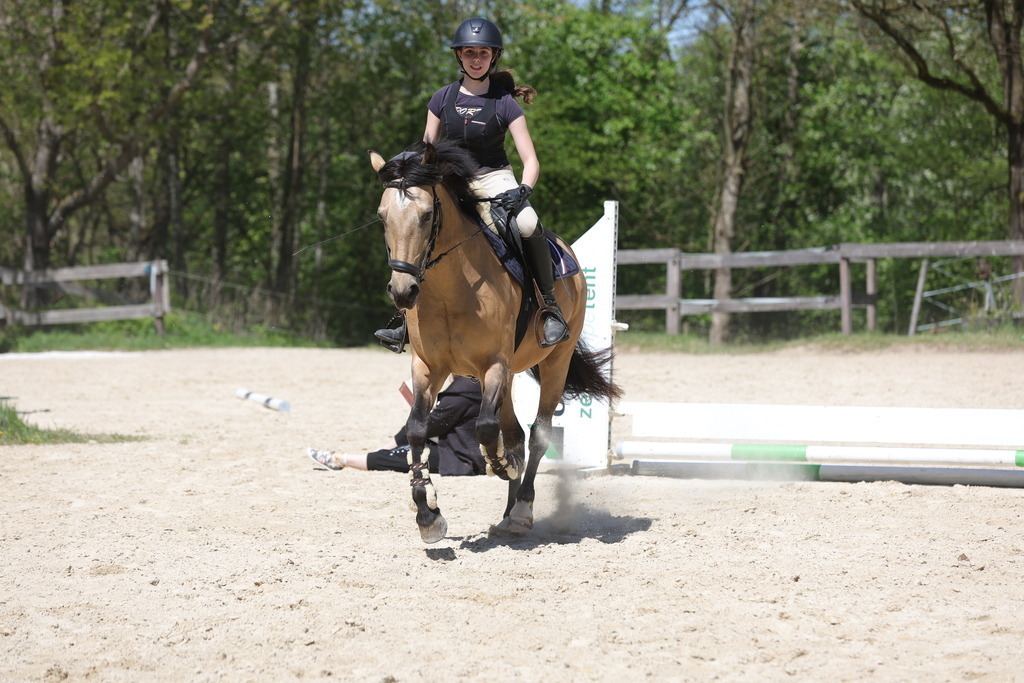 0P6A8822 | Willkommen bei Brunnmayr - Design & Fotografie – Ihrem Spezialisten für Reitturniere und Pferdeveranstaltungen in Oberösterreich, Salzburg und Bayern! Seit über 17 Jahren sind wir leidenschaftlich dabei.