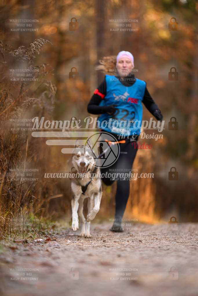 MompixPhotography_DM_AKDM_SO_2025_-72 | PayLife