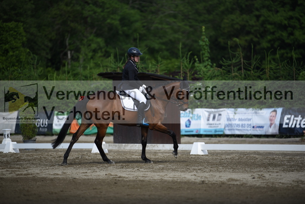 DSC_7600 | equestrian-live-com