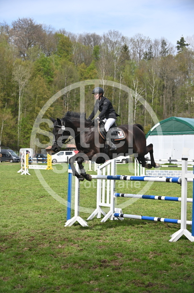 DSC_3973 | sattelsport - Realisiert mit Pictrs.com