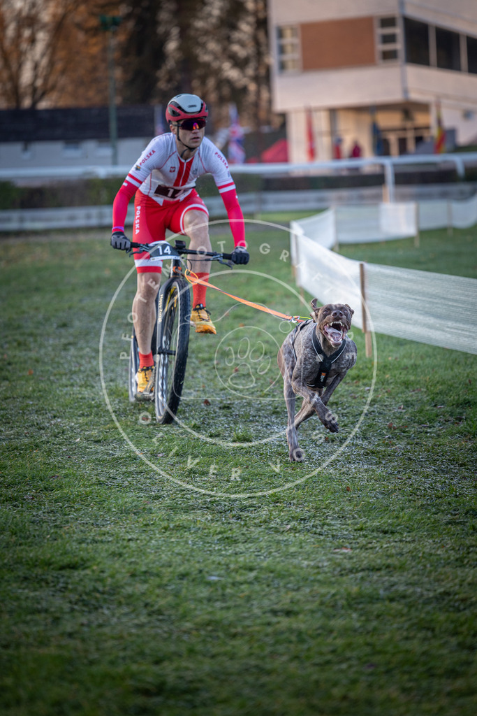 CaniXpix_0L8A1165 | Hundefotografie, Tierfotograf, Pfotenfotografie, Fotoshooting Hund, Hunde Portrait, Hundesport, Hundeportraits, Heideshooting, Hunde, Sportfotograf, Hundefotograf, Turnierhundsport, THS,  - Realisiert mit Pictrs.com