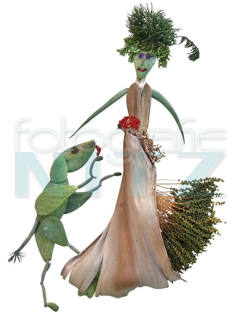 19 | Nitz Fotografie aus Montabaur bietet Ihnen hier die Möglichkeit Bilder auszusuchen und zu bestellen. 