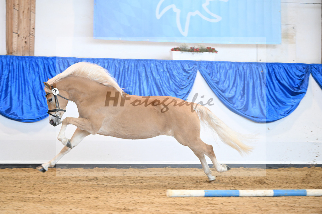 Kat-Nr. 7 Daria v. Armani Ass_Obermaier_60221114 | hf-fotografie - Realisiert mit Pictrs.com