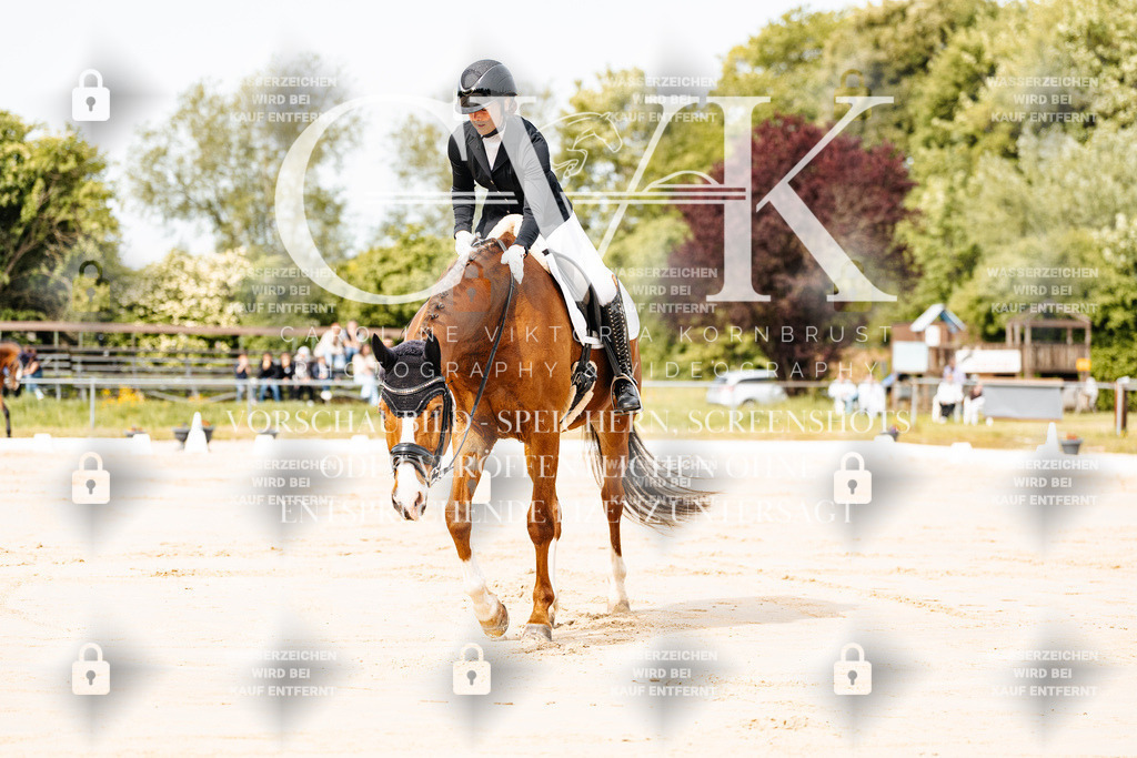 CK900653 | Turnierfotografie Pferdefotografie Trier Rheinland-Pfalz Pferdesport Reitsport Tierfotografie Sportfotografie Pferdevideo Pferdevideografie Equestrianvideography equestrianphotography  - Realisiert mit Pictrs.com