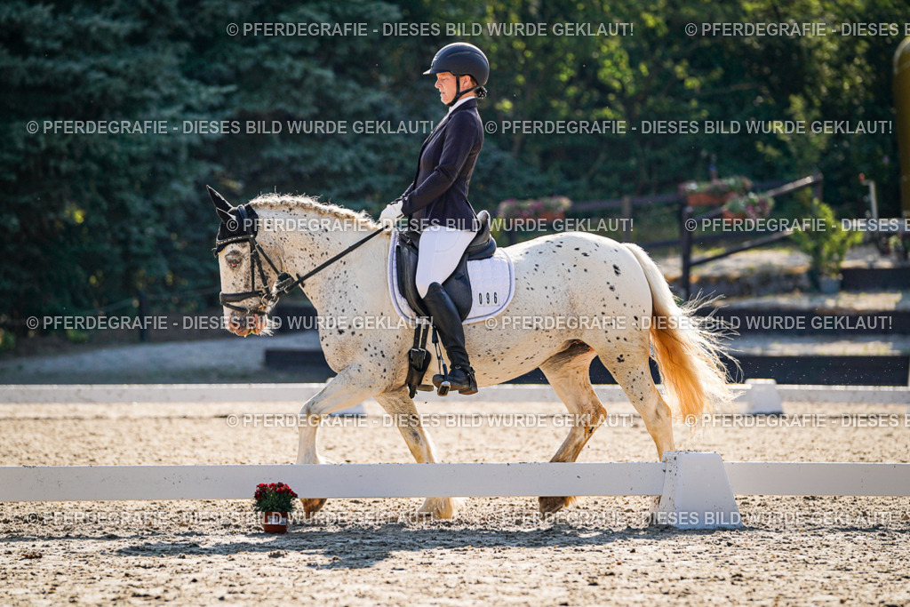 DSC09303 | Pferdegrafie