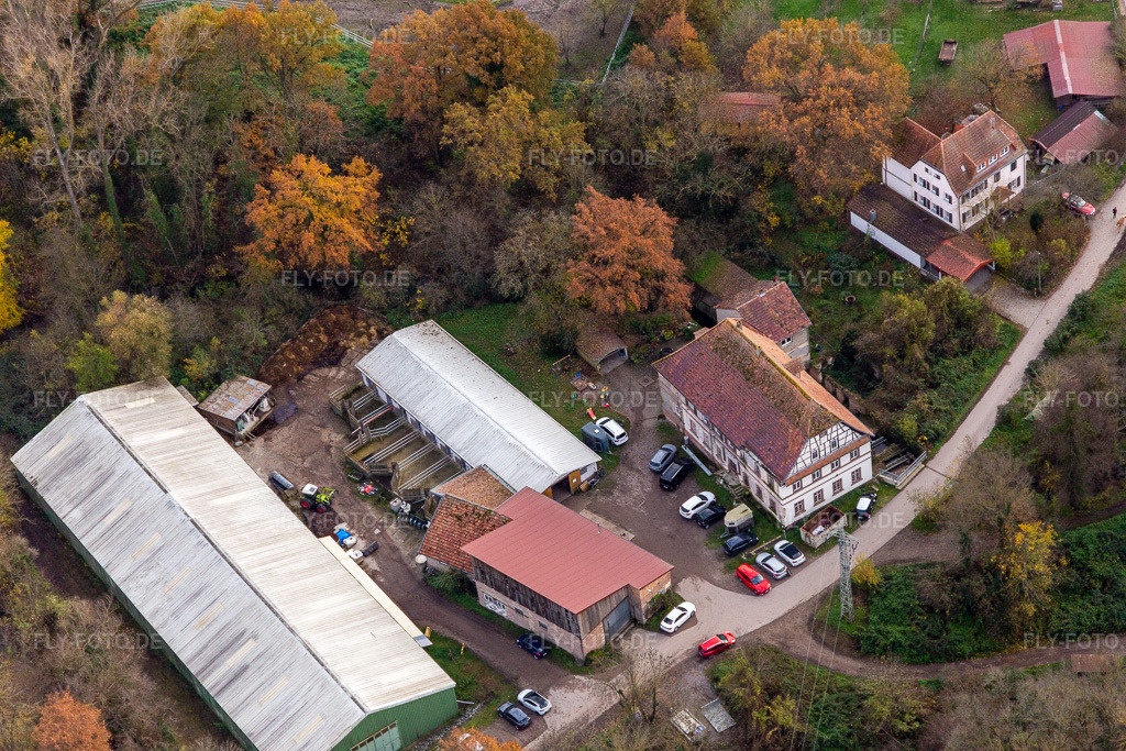 Luftbild: Wanzheimer Mühle in Rheinzabern im Bundesland Rheinland-Pfalz in Deutschland. Foto: IMG_135269.jpg vom 26.11.2022 durch Werner Riehm/FLY-FOTO.de