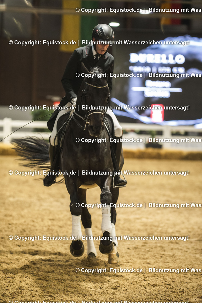 20240302_Hengstvorstellung_Marbach_TOMsPiC_1461 | equistock