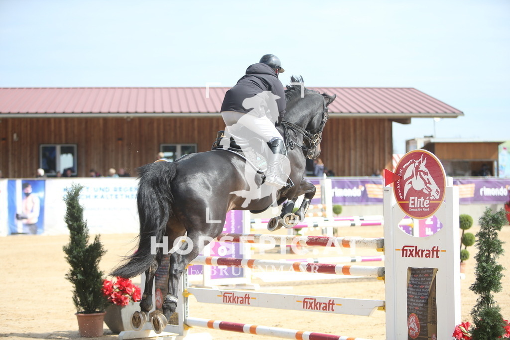 PP013880 | Willkommen bei Brunnmayr - Design & Fotografie – Ihrem Spezialisten für Reitturniere und Pferdeveranstaltungen in Oberösterreich, Salzburg und Bayern! Seit über 17 Jahren sind wir leidenschaftlich dabei.