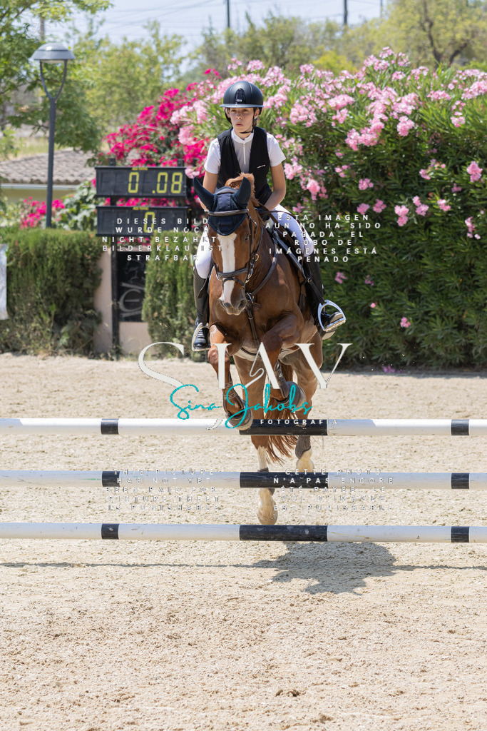 IMG_1582 | s-jay-photography - Realisiert mit Pictrs.com