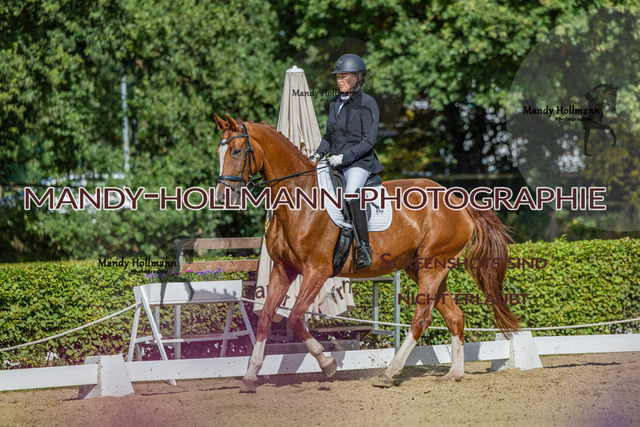 16.8.25 D2 DRE L-205 | mandyhollmannphotographie
