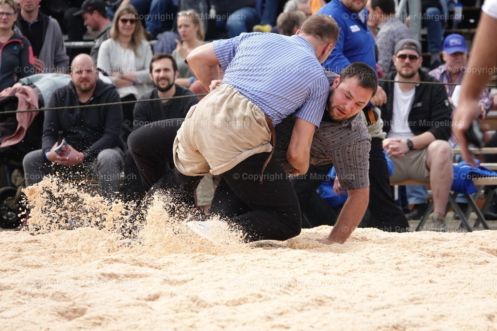 DSC03645 | Schwingen - Realisiert mit Pictrs.com