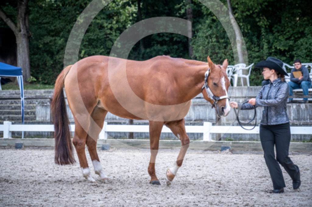 HEB06547 | BS-foto
