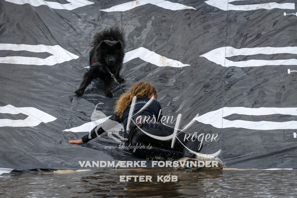 1608_ZZ92409 | kk-dogfotos