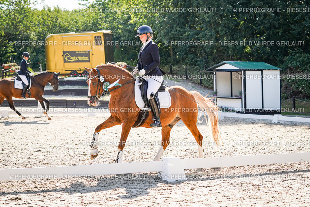 DSC00236 | Pferdegrafie