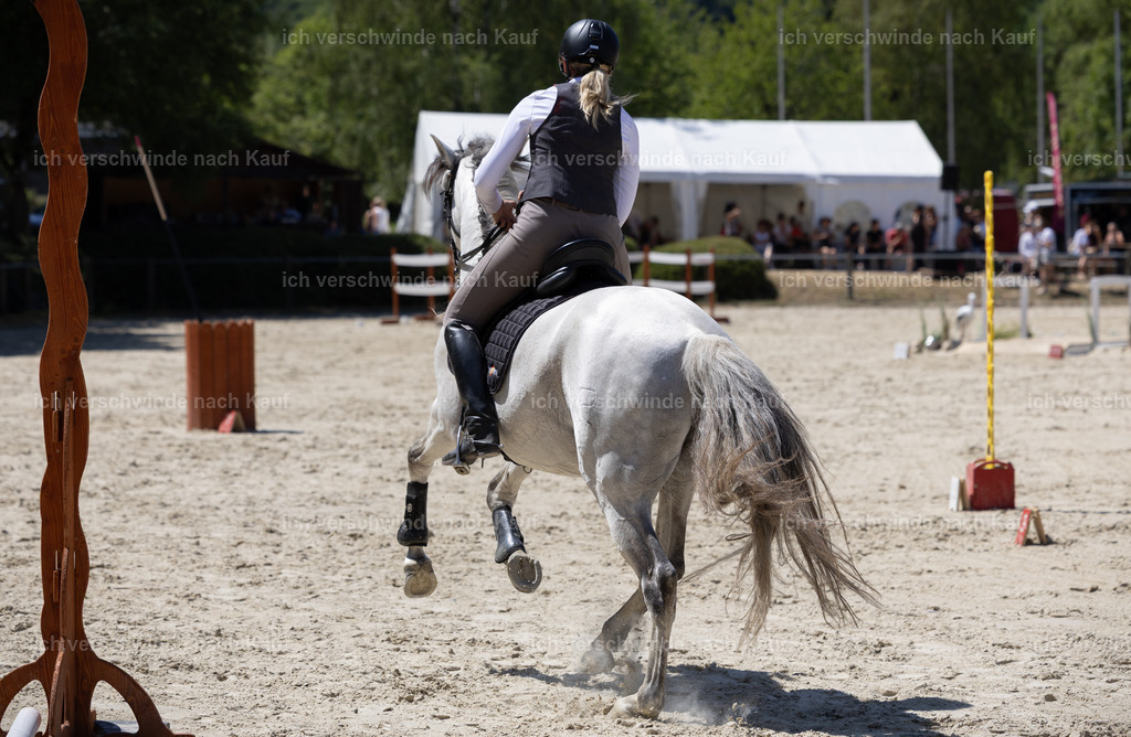 WM_Speed_83_KerstinBernhardt-10 | working equitationturnier fotograf videograf stoibphotography marixx film working equitation deutschland reitsport turnierfotografie eventfotografie equestrian events