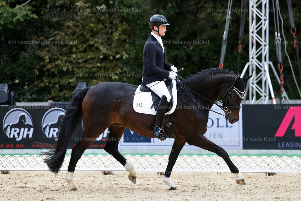 3-213-Dressur M_-StoibPH-2486 | working equitationturnier fotograf videograf stoibphotography marixx film working equitation deutschland reitsport turnierfotografie eventfotografie equestrian events