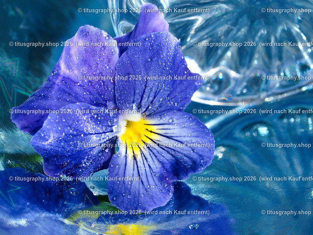 titusgraphy_P6280492-vz-ln | titusgraphy-shop: Geschenkideen mit Qualitätsfotos. titusgraphy-shop: gift ideas with quality photos. titusgraphy-shop: idées cadeaux avec photos de qualité.  - Realisiert mit Pictrs.com