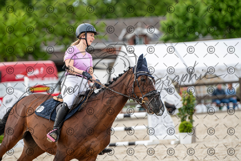 KPT_7132 | andre_photographic