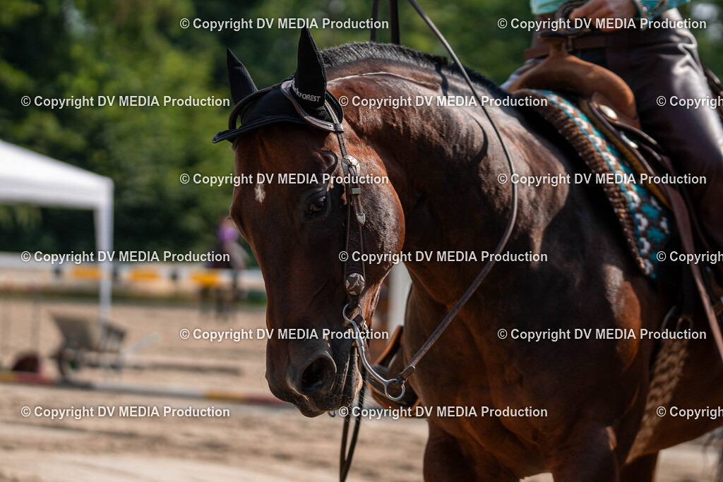 Zeiskam Tag 1-282 | dv-media-shop - Realisiert mit Pictrs.com