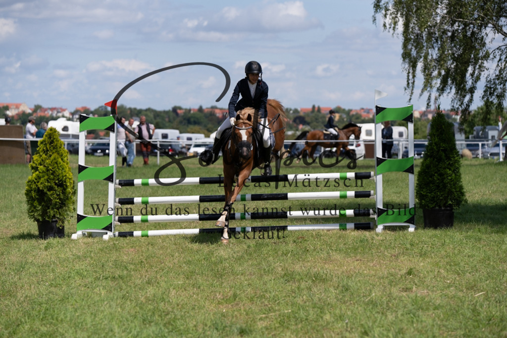 A7V04361 | Turnier/Reitfotograf