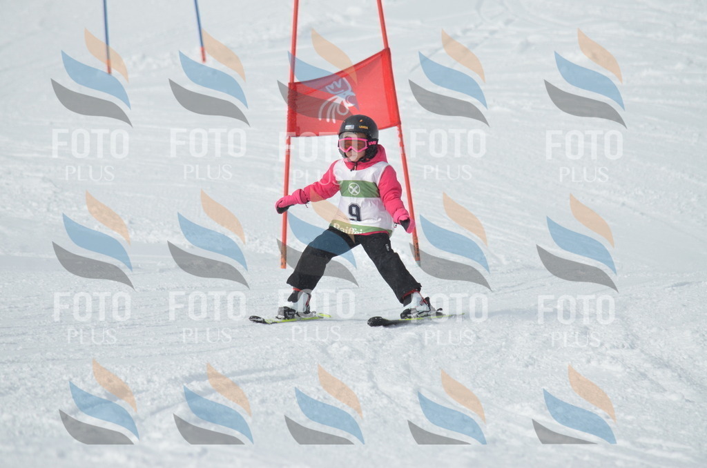 D8507 | holidayphoto