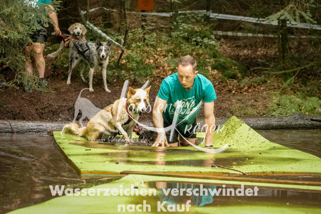 1201_ZZ92401-Bearbeitet | kk-dogfotos