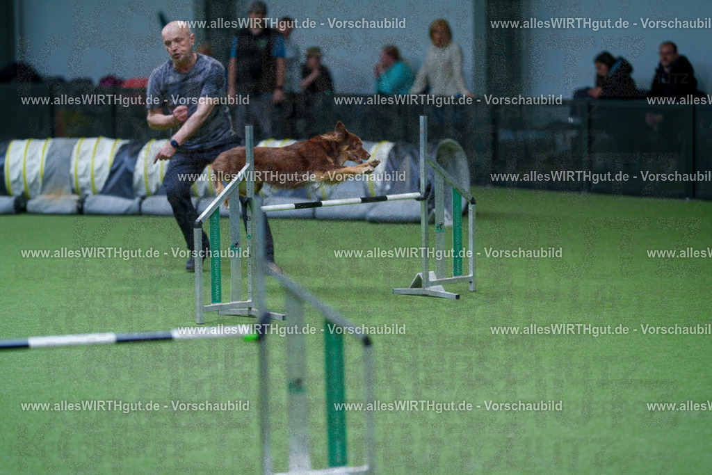 @allesWIRTHgut_Tierfotografie - www.allesWIRTHgut.de - 2604251053-7R500455 | Professionelle Tierfotografie in Mönchengladbach von Daniel Wirth (allesWIRTHgut). Liebevolle & natürliche Bilder von Hunden & Katzen für unvergessliche Erinnerungen.