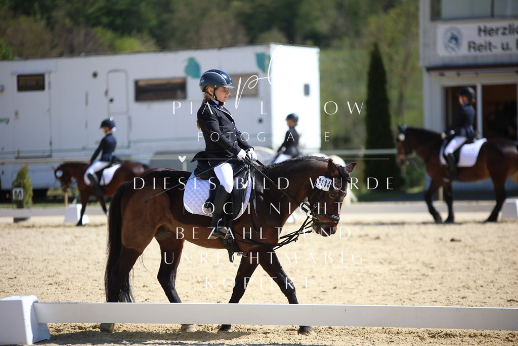 IMGT1334 | pl-fotografie