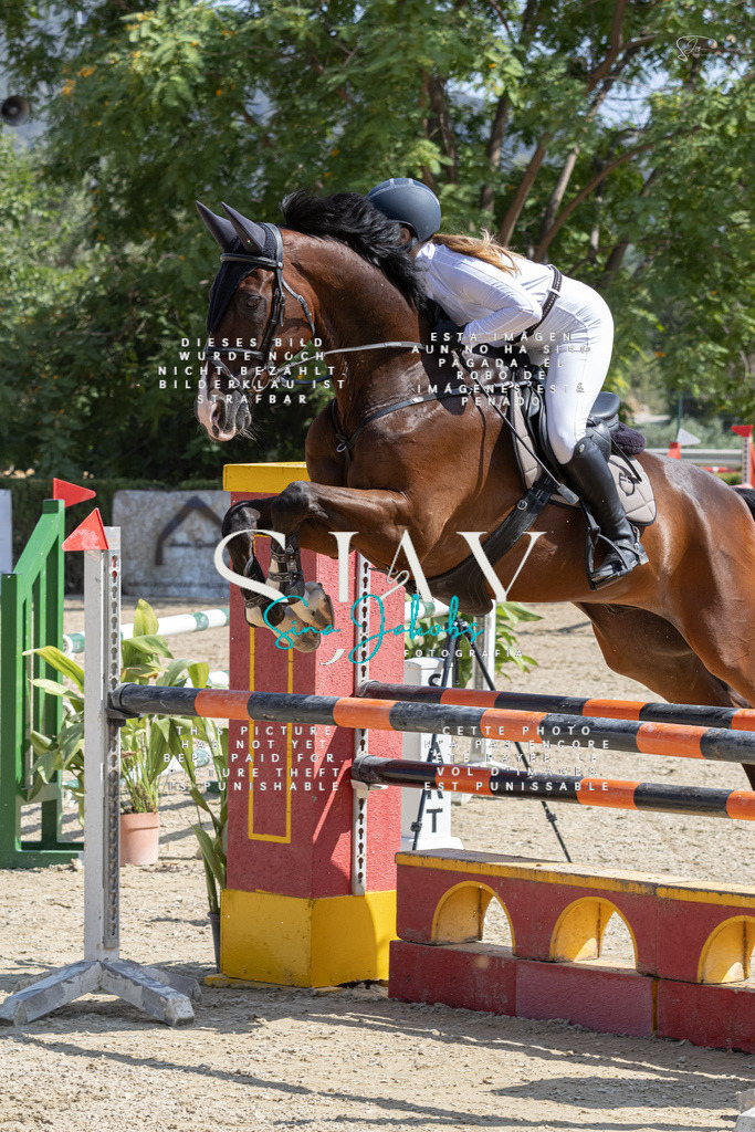 IMG_3943 | s-jay-photography - Realisiert mit Pictrs.com