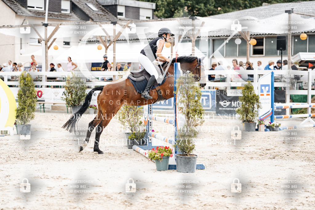 CK908765 | Turnierfotografie Pferdefotografie Trier Rheinland-Pfalz Pferdesport Reitsport Tierfotografie Sportfotografie Pferdevideo Pferdevideografie Equestrianvideography equestrianphotography  - Realisiert mit Pictrs.com