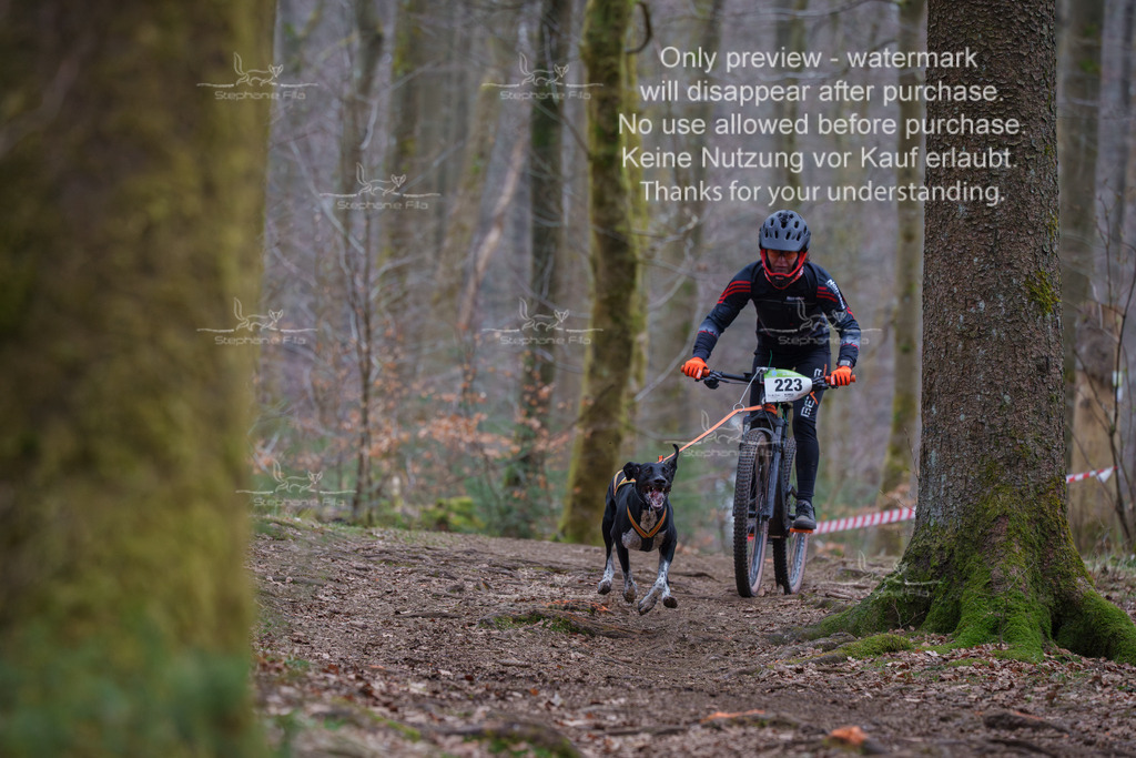 Bike_So-16 | stephaniefillaphotographie - Realisiert mit Pictrs.com