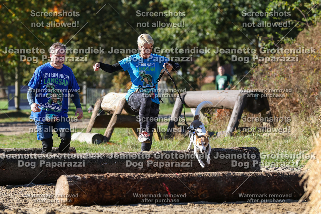 Dog Paparazzi - Strongdog 10-25-2658 | Dog Paparazzi Jeanette Grottendiek Fotografie & Videografie - Realisiert mit Pictrs.com