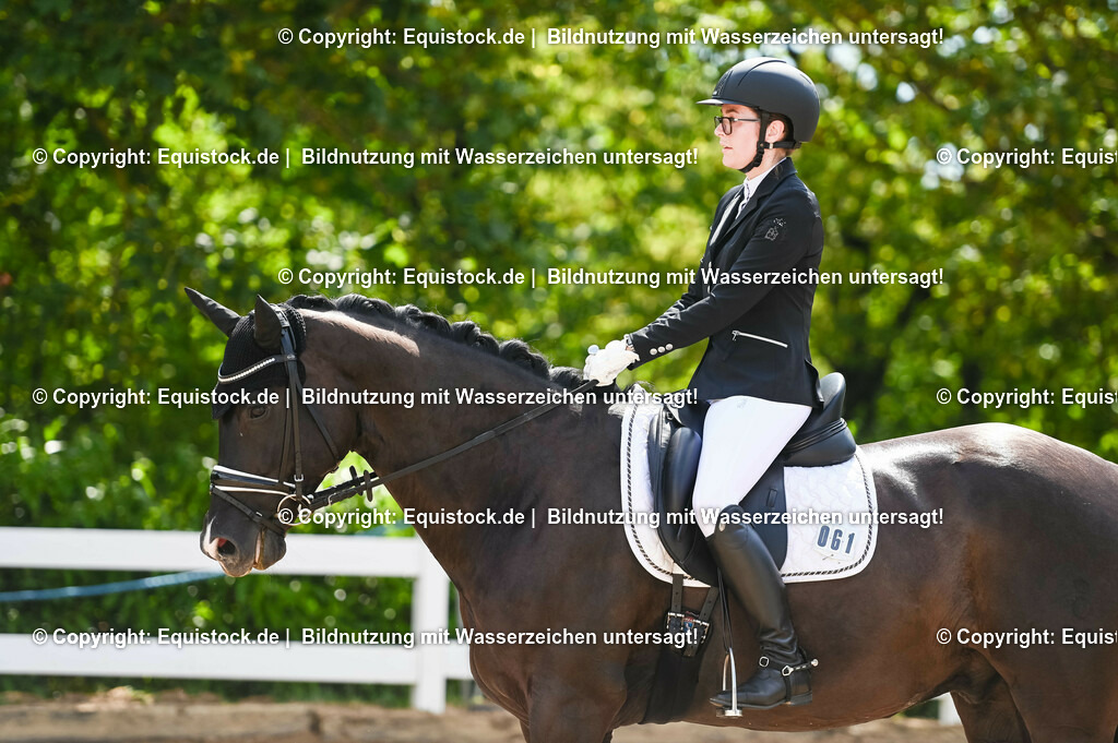 20230715_07_Dressurpferdeprfg. Kl.L_0185 | equistock