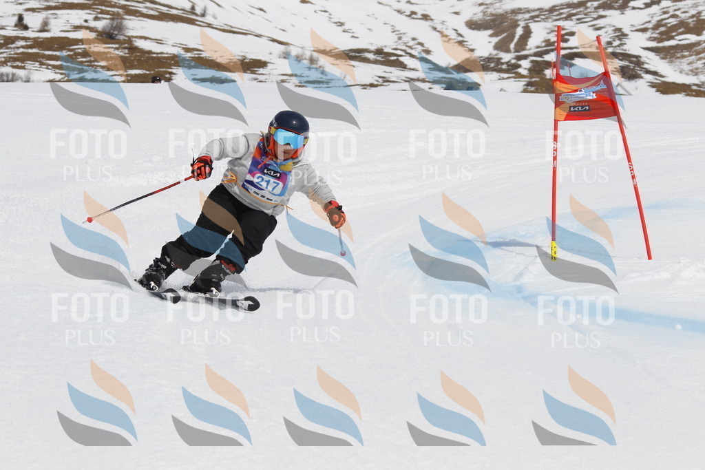 _U3G2322 | holidayphoto