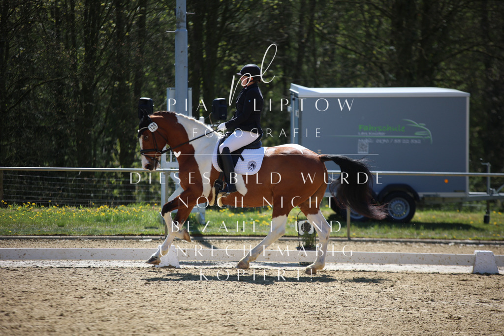 IMGT0954 | pl-fotografie