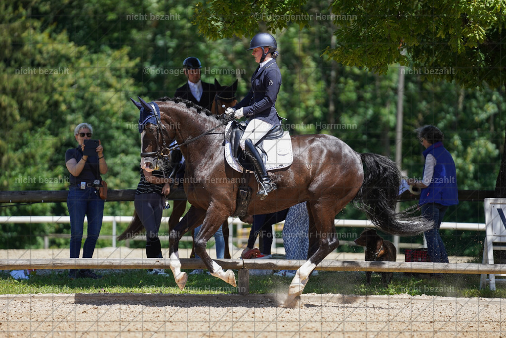 20240705-FAH03487 | Turnierbilder von Grafing, Reitsportbilder, Turnierfotos, Turnierfotografen Bayern, Pferdefotograf, Fotoagentur Herrmann