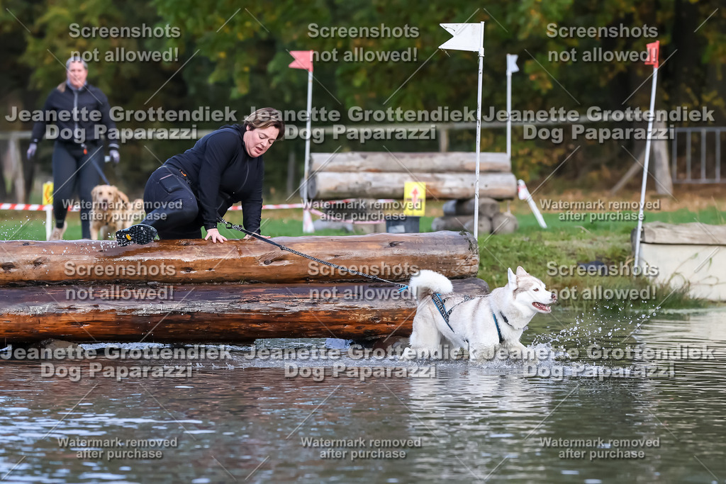 Dog Paparazzi - Strongdog 10-25-6948 | Dog Paparazzi Jeanette Grottendiek Fotografie & Videografie - Realisiert mit Pictrs.com