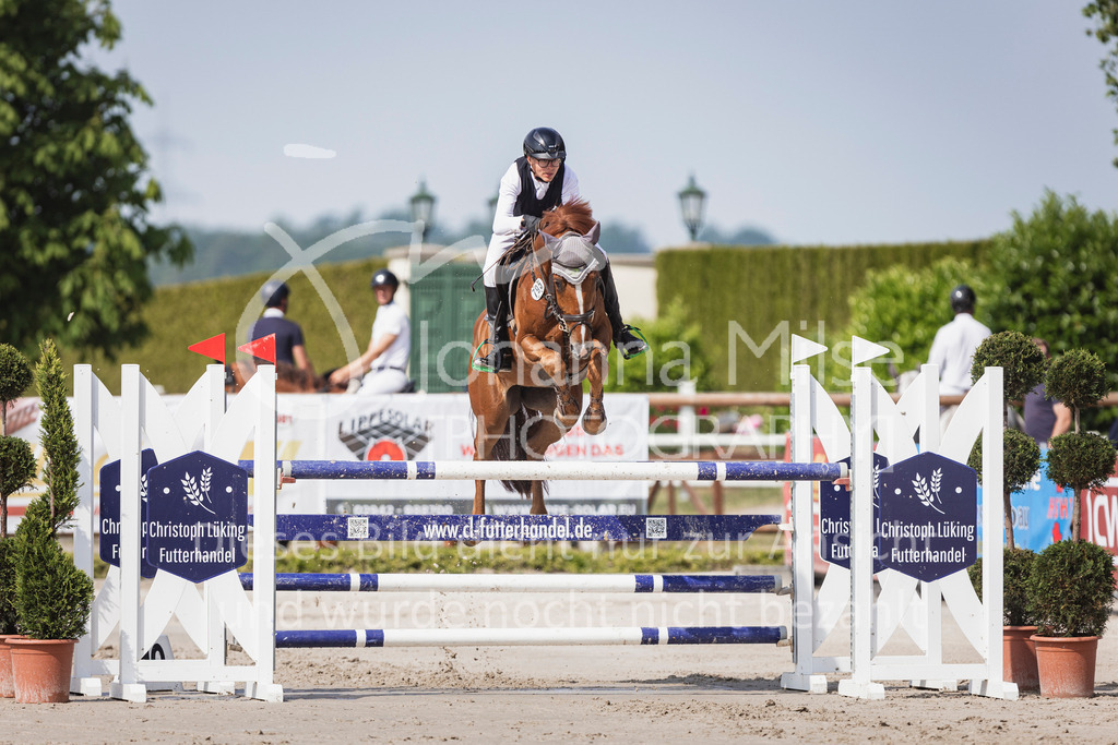 250531_MayDays_M2-Springen-516 | Deine schönsten Turniermomente als professionelle Fotos! Entdecke hochwertige Pferdesport-Fotografie im Online-Shop. Jetzt Fotos finden & bestellen!