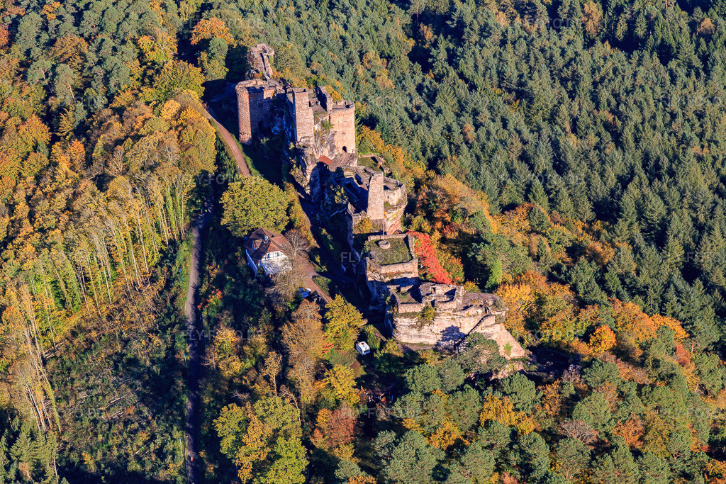 Luftbild: Burgenmassiv Altdahn mit Burgruine Grafendahn und Burgruine Tanstein in Dahn im Bundesland Rheinland-Pfalz in Deutschland. Foto: IMG_104008.jpg vom 14.10.2017 durch Werner Riehm/FLY-FOTO.deBURGENLANDSCHAFT-PFALZ.DE