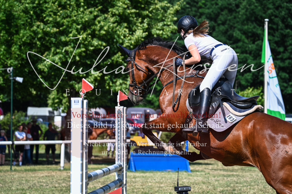 DSC_1746 | Pferde- und Turnierfotografie in Westsachsen. Pferdeportraits, Auftragszeichnungen und intuitive Kunst.