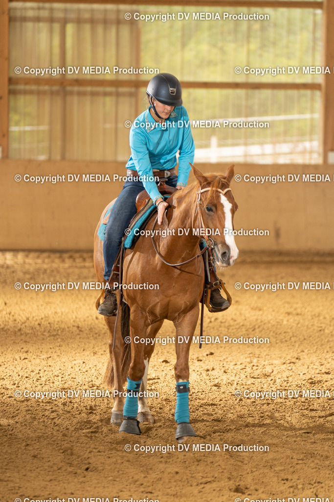 LAU01630 | dv-media-shop - Realisiert mit Pictrs.com